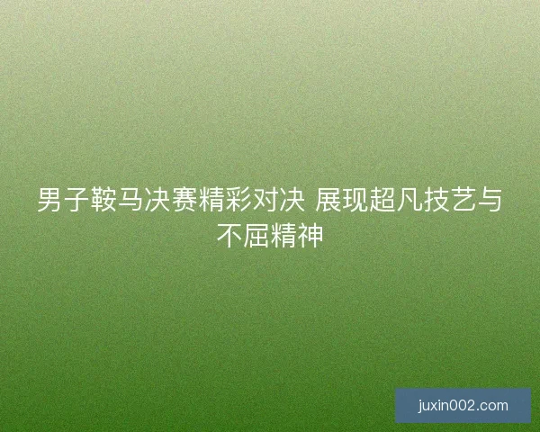 男子鞍马决赛精彩对决 展现超凡技艺与不屈精神